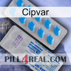 Cipvar new15